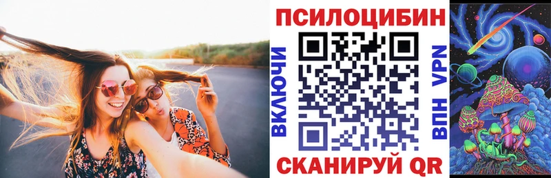 закладка  Октябрьский  Галлюциногенные грибы MAGIC MUSHROOMS 